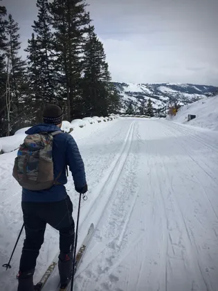 Cross-Country Skiing in Yellowstone 