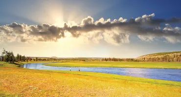 Yellowstone In A Day Tour