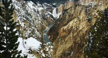 Yellowstone National Park Multi-Day Tours