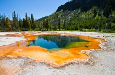 Yellowstone Geysers Tour